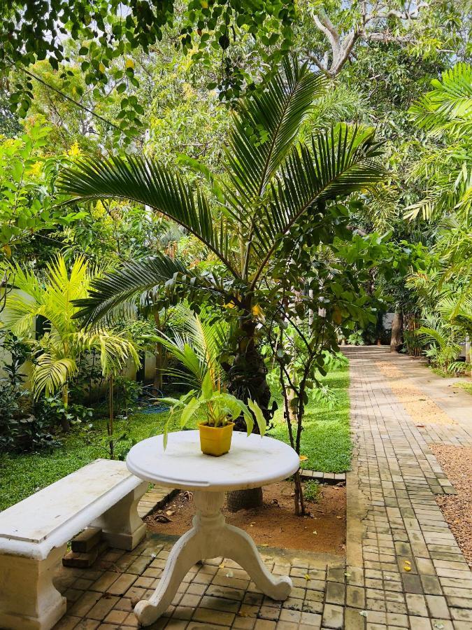 Yala Southern Homestay Tissamaharama Zewnętrze zdjęcie