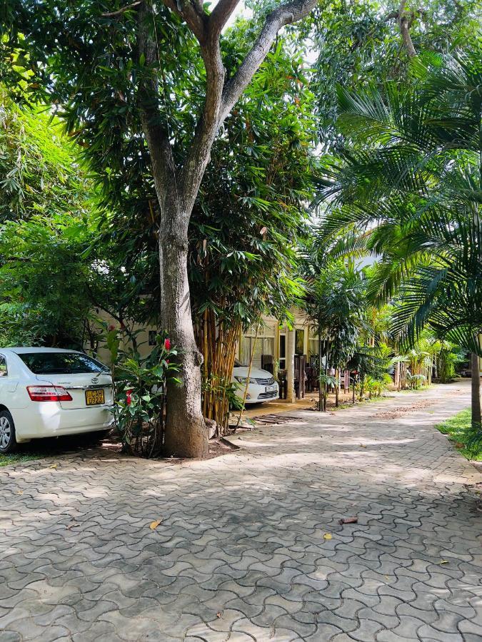 Yala Southern Homestay Tissamaharama Zewnętrze zdjęcie