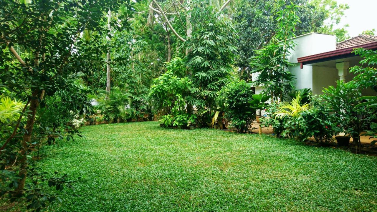 Yala Southern Homestay Tissamaharama Zewnętrze zdjęcie