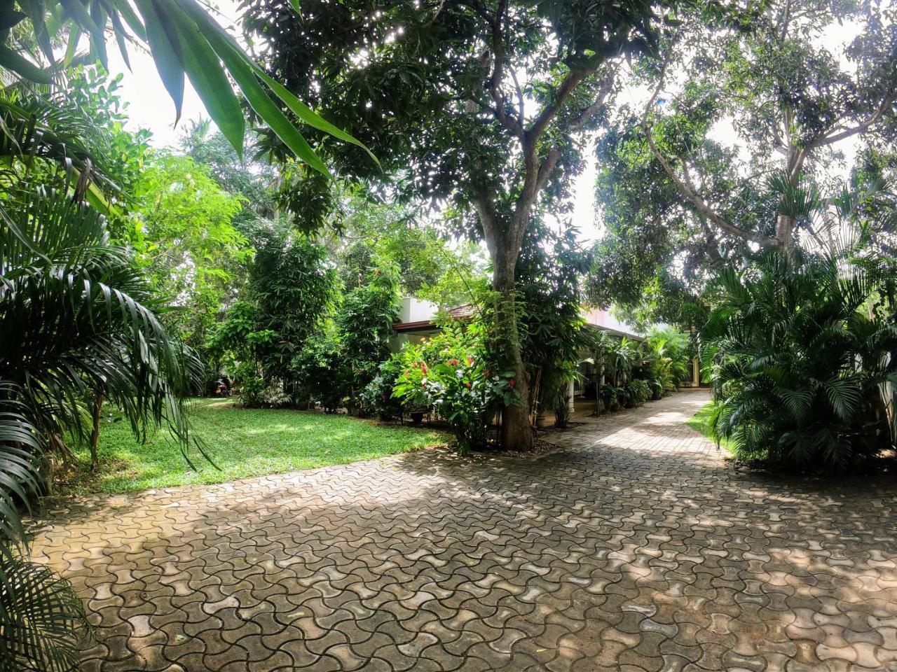 Yala Southern Homestay Tissamaharama Zewnętrze zdjęcie