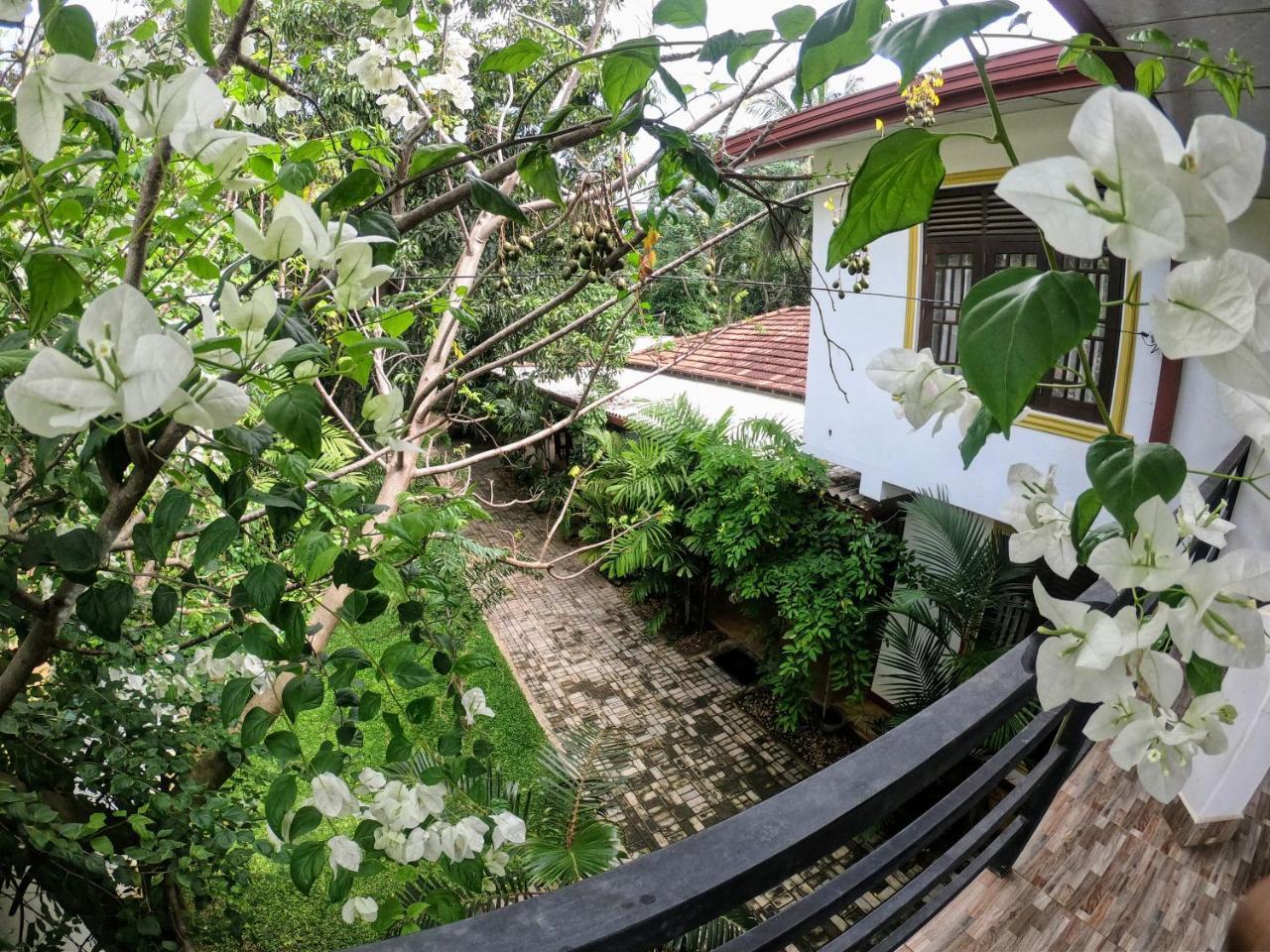 Yala Southern Homestay Tissamaharama Zewnętrze zdjęcie