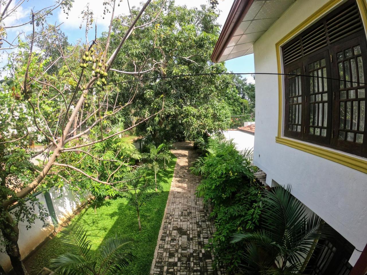 Yala Southern Homestay Tissamaharama Zewnętrze zdjęcie